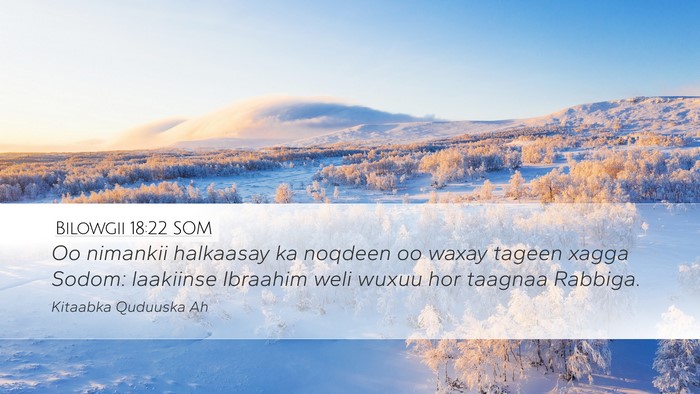 Bilowgii 18:22 SOM Bible Verse Image
