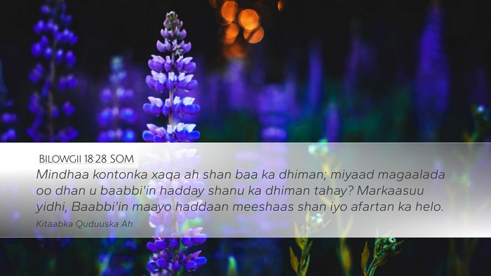 Bilowgii 18:28 SOM Bible Verse Image