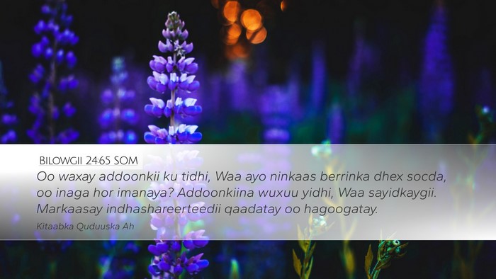 Bilowgii 24:65 SOM Bible Verse Image