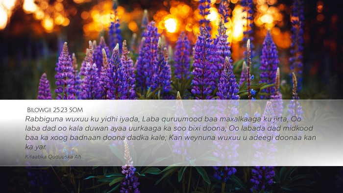 Bilowgii 25:23 SOM Bible Verse Image