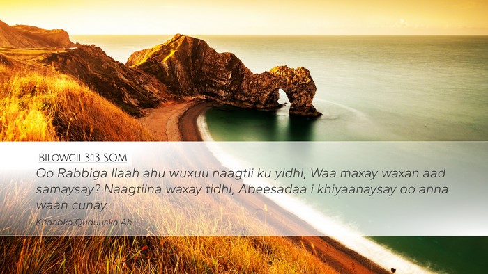 Bilowgii 3:13 SOM Bible Verse Image