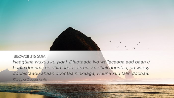 Bilowgii 3:16 SOM Bible Verse Image