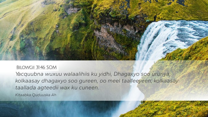 Bilowgii 31:46 SOM Bible Verse Image