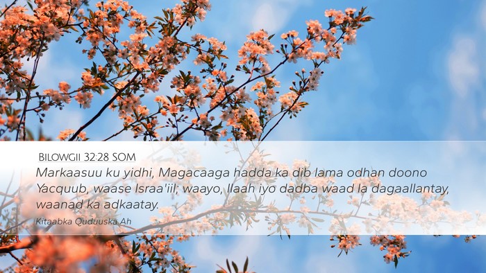 Bilowgii 32:28 SOM Bible Verse Image