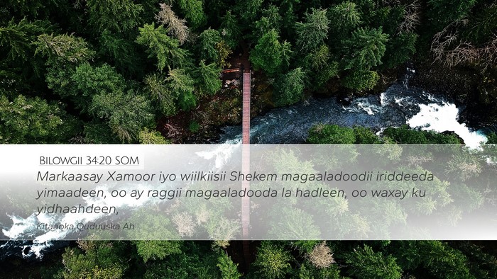Bilowgii 34:20 SOM Bible Verse Image