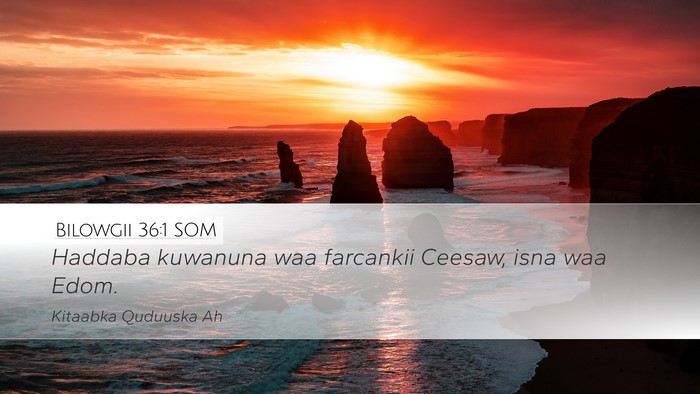 Bilowgii 36:1 SOM Desktop Wallpaper - Haddaba kuwanuna waa farcankii Ceesaw, isna waa - Desktop Bible Verse Wallpaper