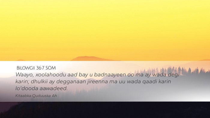 Bilowgii 36:7 SOM Bible Verse Image
