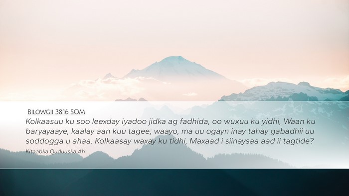 Bilowgii 38:16 SOM Bible Verse Image