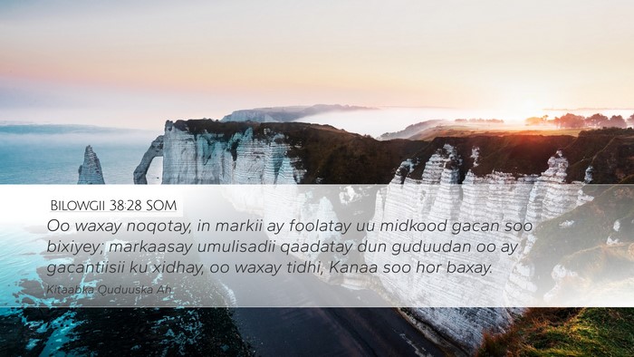 Bilowgii 38:28 SOM Desktop Wallpaper - Oo waxay noqotay, in markii ay foolatay uu - Desktop Bible Verse Wallpaper