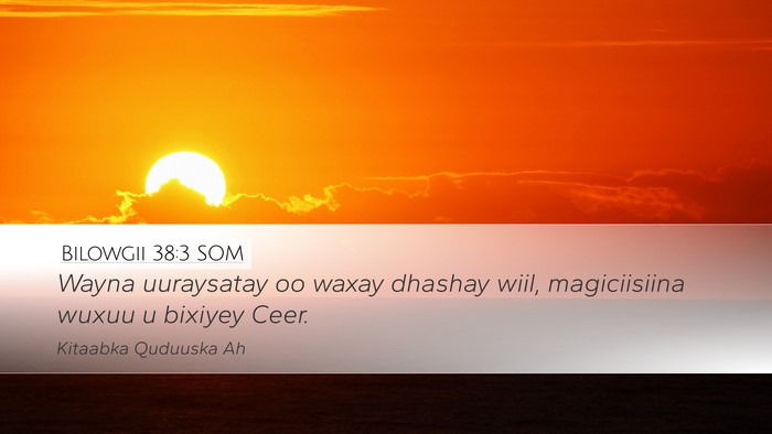 Bilowgii 38:3 SOM Desktop Wallpaper - Wayna uuraysatay oo waxay dhashay wiil, - Desktop Bible Verse Wallpaper