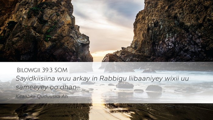 Bilowgii 39:3 SOM Bible Verse Image