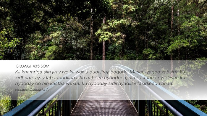 Bilowgii 40:5 SOM Bible Verse Image