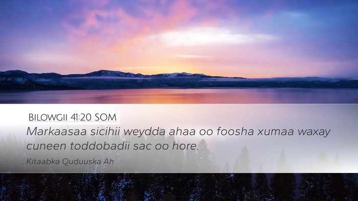 Bilowgii 41:20 SOM Bible Verse Image
