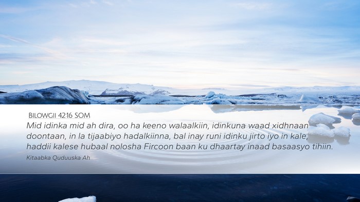 Bilowgii 42:16 SOM Bible Verse Image