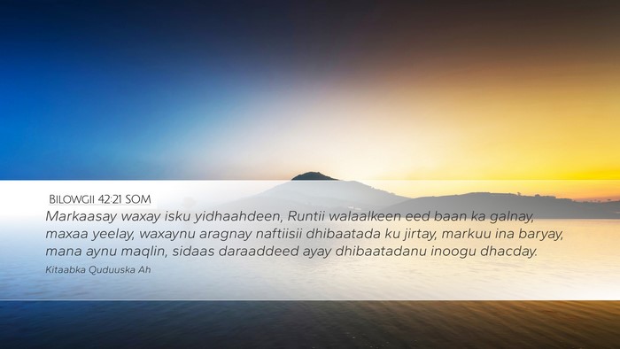 Bilowgii 42:21 SOM Bible Verse Image