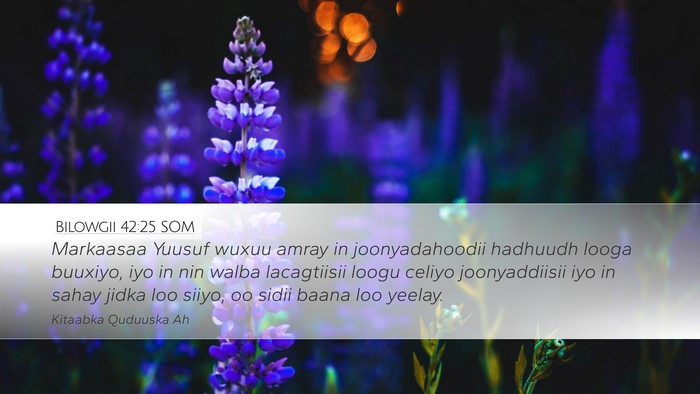 Bilowgii 42:25 SOM Bible Verse Image