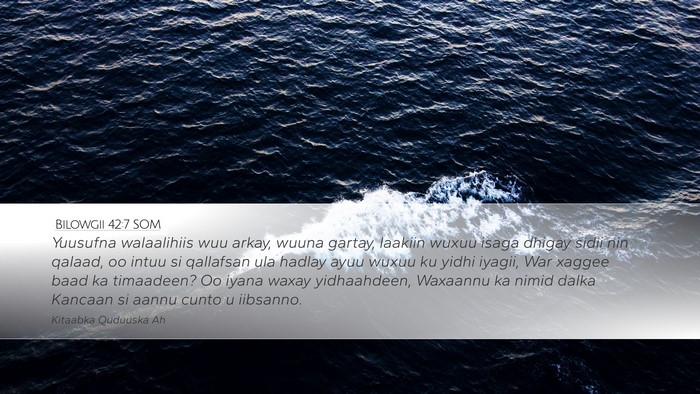 Bilowgii 42:7 SOM Bible Verse Image