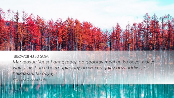 Bilowgii 43:30 SOM Bible Verse Image