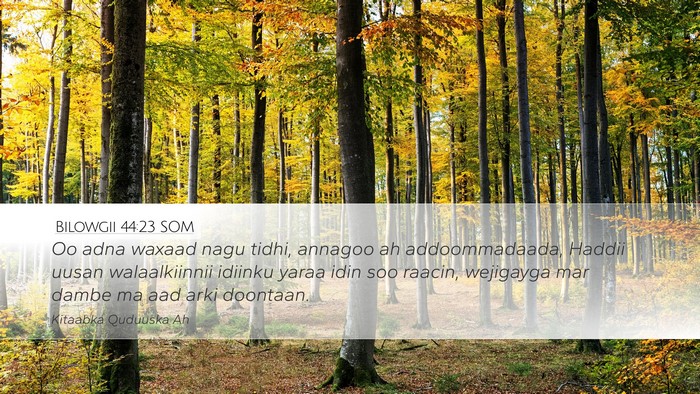 Bilowgii 44:23 SOM Bible Verse Image