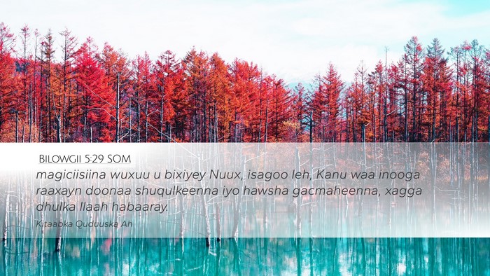 Bilowgii 5:29 SOM Bible Verse Image