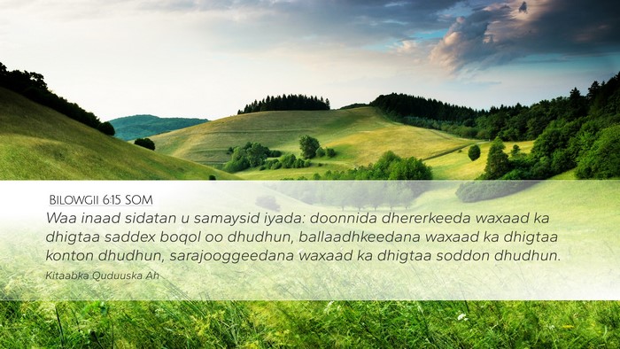 Bilowgii 6:15 SOM Desktop Wallpaper - Waa inaad sidatan u samaysid iyada: doonnida - Desktop Bible Verse Wallpaper