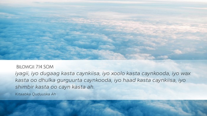 Bilowgii 7:14 SOM Desktop Wallpaper - iyagii, iyo dugaag kasta caynkiisa, iyo xoolo - Desktop Bible Verse Wallpaper