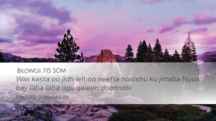 Bilowgii 7:15 SOM Desktop Wallpaper - Wax kasta oo jidh leh oo neefta noloshu ku - Desktop Bible Verse Wallpaper