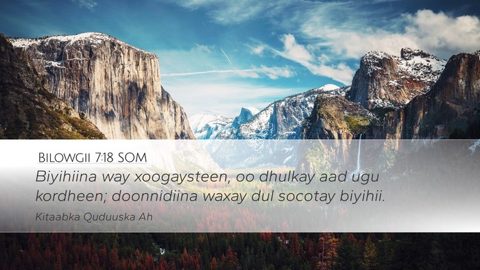 Bilowgii 7:18 SOM Desktop Wallpaper - Biyihiina way xoogaysteen, oo dhulkay aad ugu - Desktop Bible Verse Wallpaper