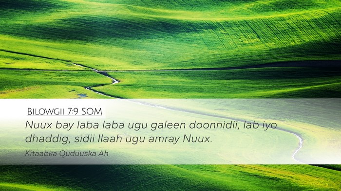 Bilowgii 7:9 SOM Desktop Wallpaper - Nuux bay laba laba ugu galeen doonnidii, lab iyo - Desktop Bible Verse Wallpaper