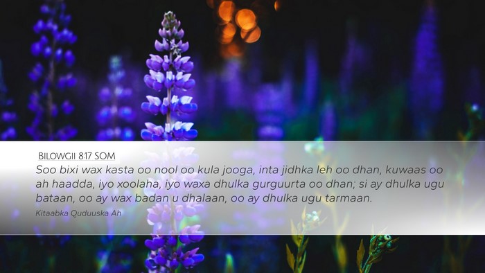 Bilowgii 8:17 SOM Bible Verse Image
