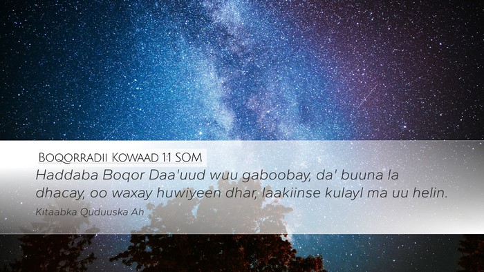 Boqorradii Kowaad 1:1 SOM Desktop Wallpaper - Haddaba Boqor Daa'uud wuu gaboobay, da' buuna la - Desktop Bible Verse Wallpaper