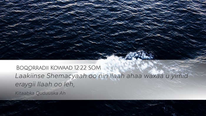Boqorradii Kowaad 12:22 SOM Bible Verse Image
