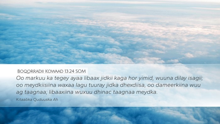 Boqorradii Kowaad 13:24 SOM Bible Verse Image