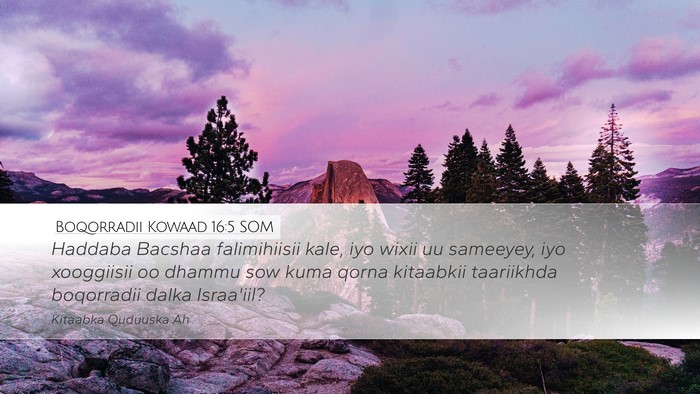 Boqorradii Kowaad 16:5 SOM Bible Verse Image
