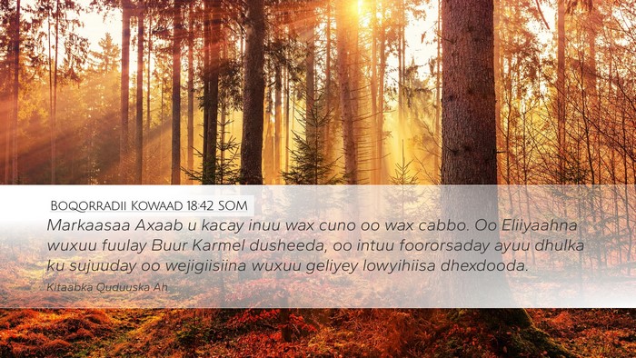 Boqorradii Kowaad 18:42 SOM Bible Verse Image