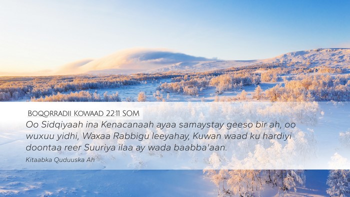 Boqorradii Kowaad 22:11 SOM Bible Verse Image