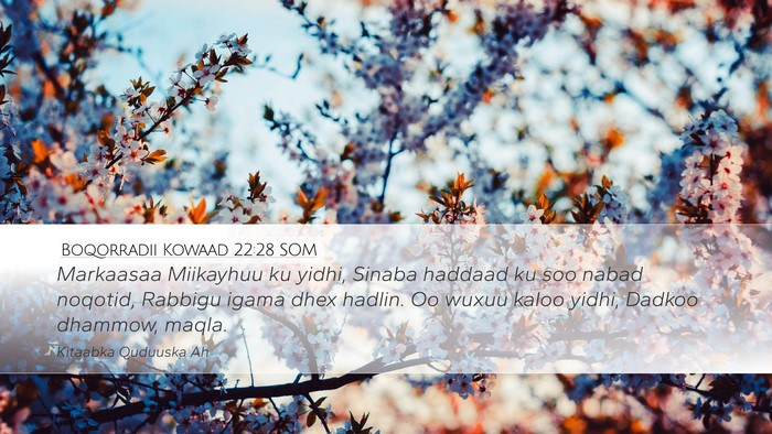Boqorradii Kowaad 22:28 SOM Bible Verse Image