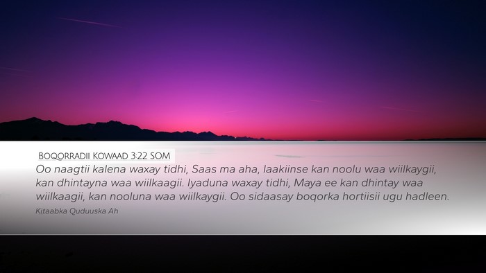 Boqorradii Kowaad 3:22 SOM Desktop Wallpaper - Oo naagtii kalena waxay tidhi, Saas ma aha, - Desktop Bible Verse Wallpaper