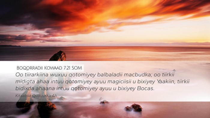 Boqorradii Kowaad 7:21 SOM Bible Verse Image