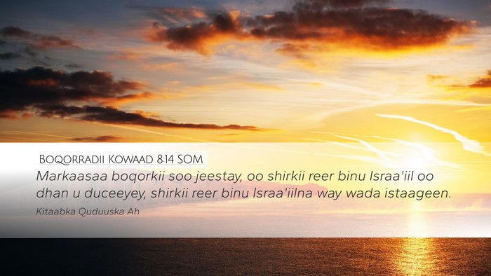 Boqorradii Kowaad 8:14 SOM Bible Verse Image