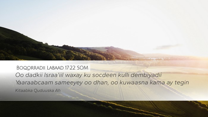 Boqorradii Labaad 17:22 SOM Bible Verse Image