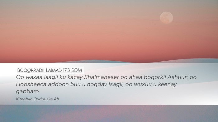 Boqorradii Labaad 17:3 SOM Bible Verse Image