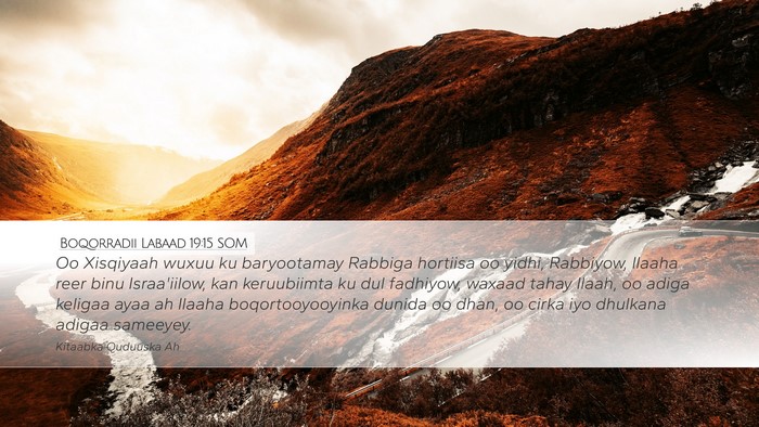 Boqorradii Labaad 19:15 SOM Bible Verse Image