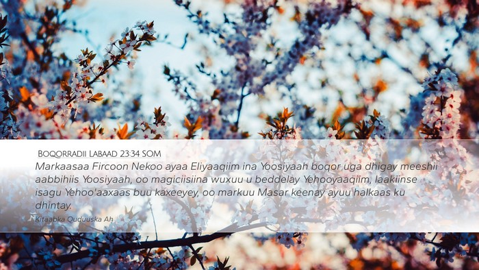 Boqorradii Labaad 23:34 SOM Bible Verse Image