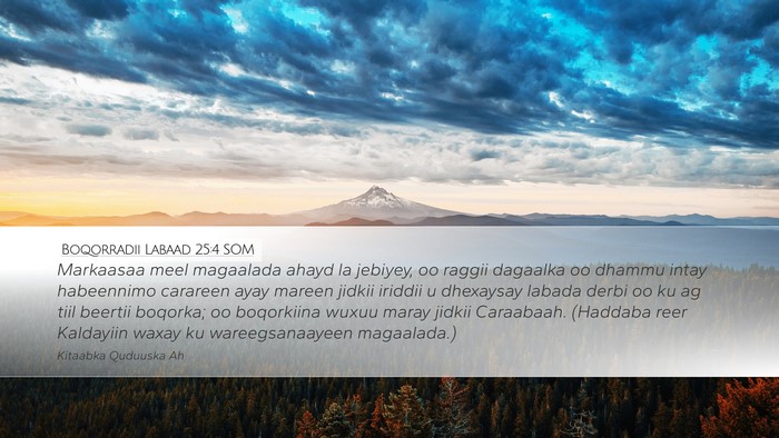 Boqorradii Labaad 25:4 SOM Bible Verse Image
