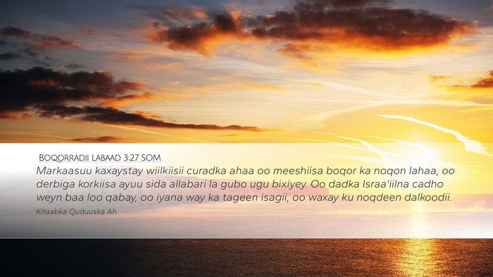Boqorradii Labaad 3:27 SOM Desktop Wallpaper - Markaasuu kaxaystay wiilkiisii curadka ahaa oo - Desktop Bible Verse Wallpaper