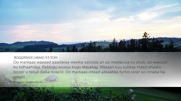 Boqorradii Labaad 9:3 SOM Bible Verse Image