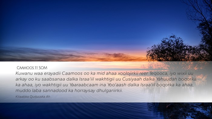 Caamoos 1:1 SOM Bible Verse Image