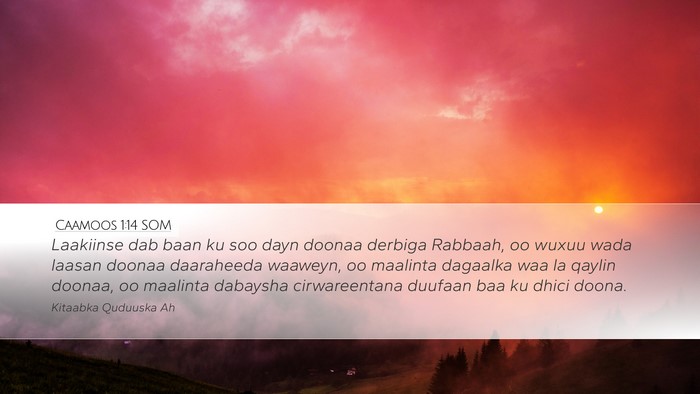 Caamoos 1:14 SOM Bible Verse Image