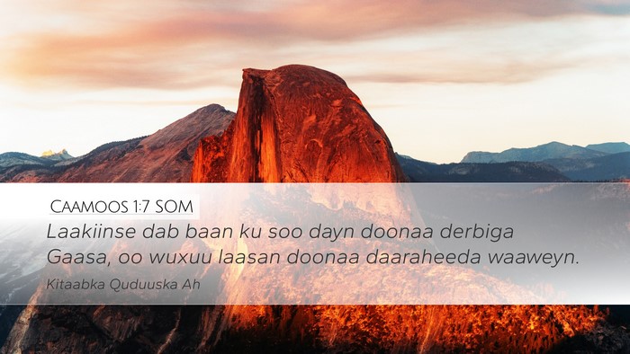 Caamoos 1:7 SOM Bible Verse Image